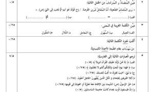 مجموعه نمونه سوالات عربی 3 دوازدهم انسانی + پاسخنامه تشریحی